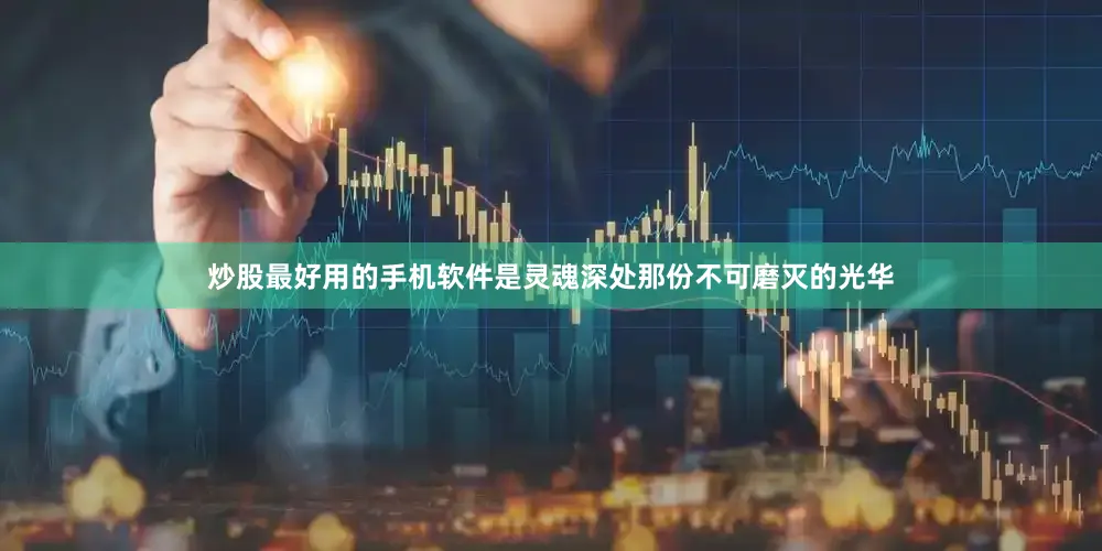 炒股最好用的手机软件是灵魂深处那份不可磨灭的光华
