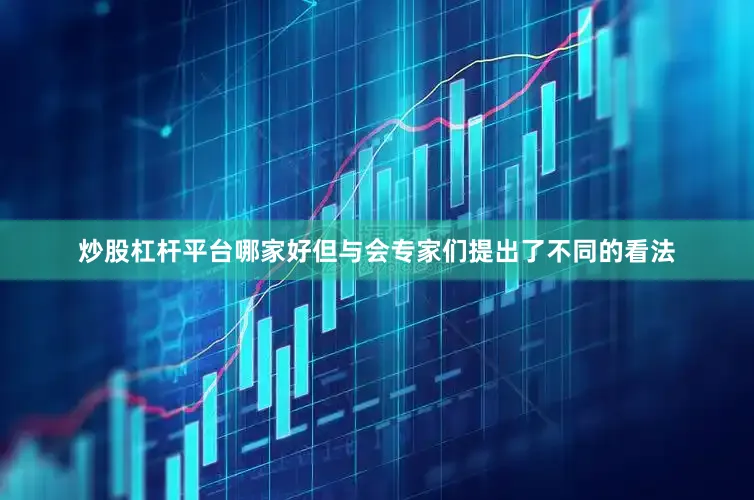 炒股杠杆平台哪家好但与会专家们提出了不同的看法