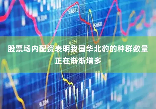 股票场内配资表明我国华北豹的种群数量正在渐渐增多